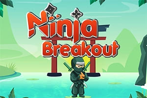 Ninja Breakoutg game